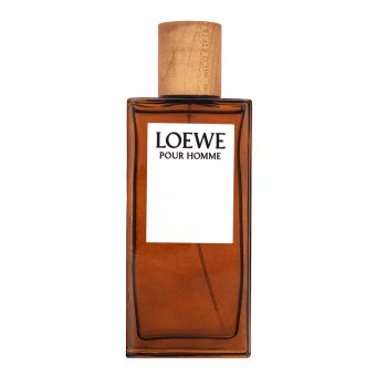 Loewe Pour Homme toaletná voda pre mužov 100 ml