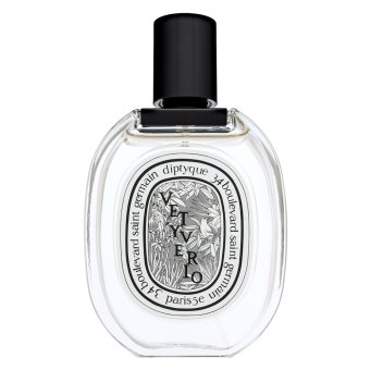 Diptyque Vetyverio тоалетна вода унисекс 100 ml