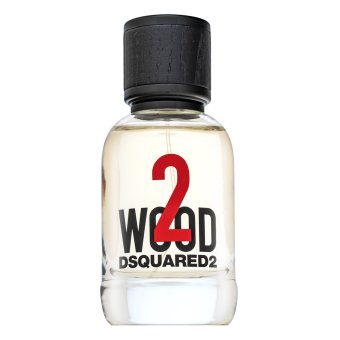 Dsquared2 2 Wood toaletní voda unisex 50 ml