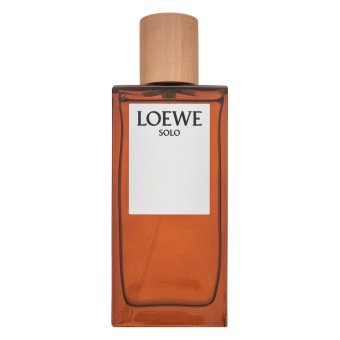 Loewe Solo Loewe Pour Homme Toaletna voda za moške 100 ml