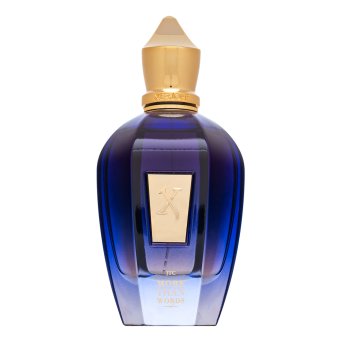 Xerjoff More Than Words parfumirana voda unisex 100 ml