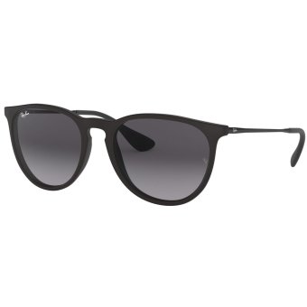 Ray-Ban Erika Classic