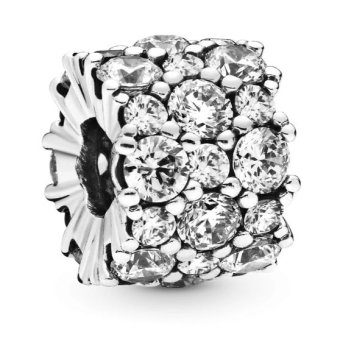 Charms Pandora Moments