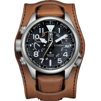 Citizen Promaster
