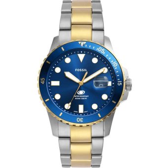 Fossil Dive