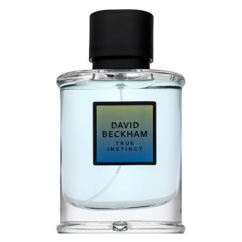 David Beckham True Instinct Eau de Parfum bărbați 75 ml