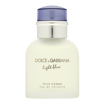 Dolce & Gabbana Light Blue Pour Homme toaletní voda pro muže 40 ml