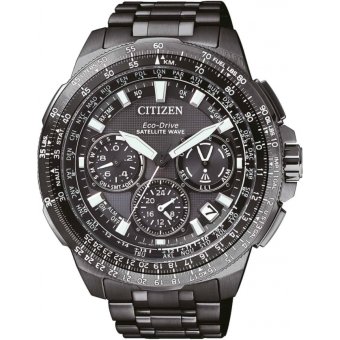 Citizen Promaster