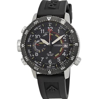 Citizen Promaster