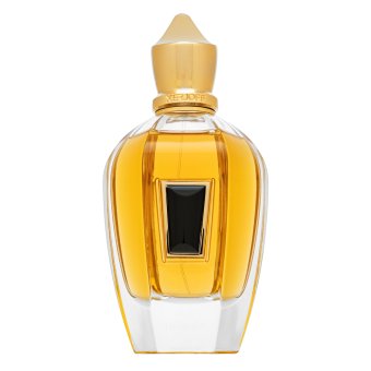 Xerjoff 17/17 Homme парфюм за мъже 100 ml