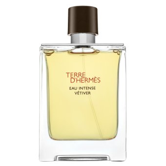 Hermès Terre D'Hermes Eau Intense Vetiver parfémovaná voda pre mužov 100 ml