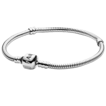 Zapestnica Pandora Moments