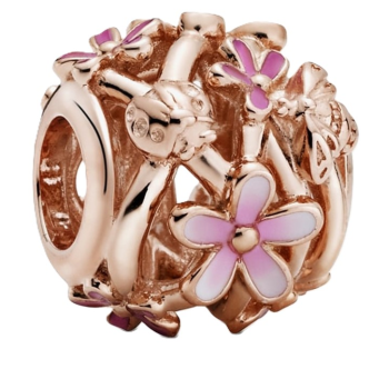 Korálek Pandora Moments