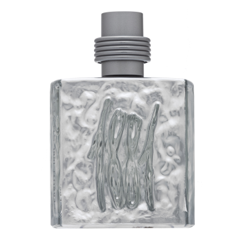 Cerruti 1881 Silver Toaletna voda za moške 100 ml