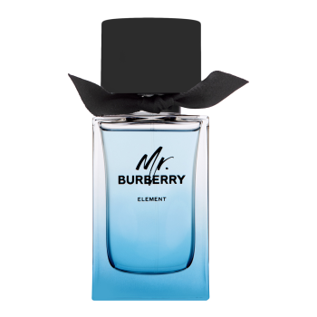 Burberry Mr. Burberry Element toaletná voda pre mužov 100 ml