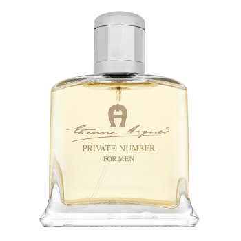 Aigner Private Number toaletná voda pre mužov 100 ml