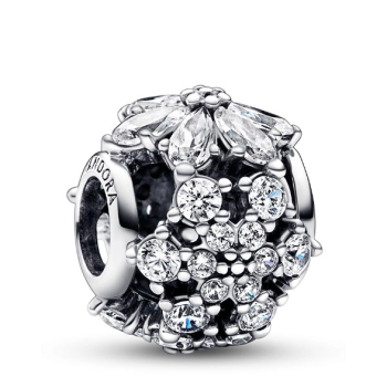 Charm Pandora Timeless