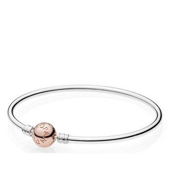 Narukvica Pandora Moments