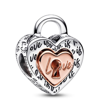 Charm Pandora Moments