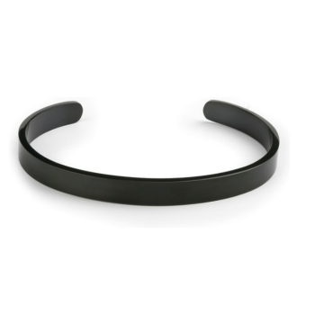 Paul McNeal Porcupine