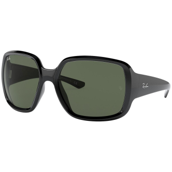 Ray-Ban Powderhorn