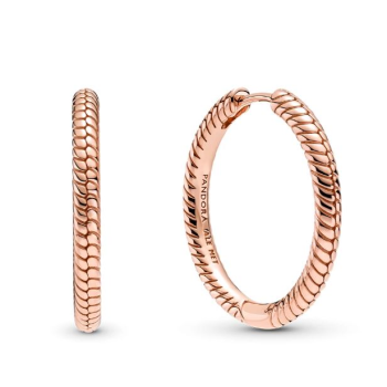 Naušnice Pandora Moments