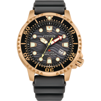 Citizen Promaster