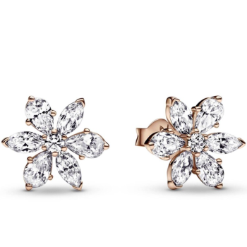 Uhani Pandora Timeless