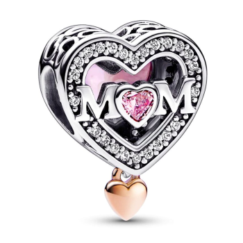 Charm Pandora Moments