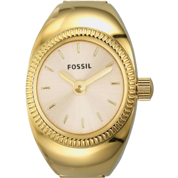 Fossil