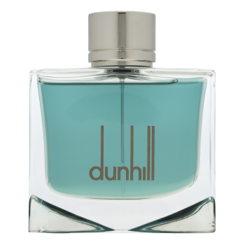 Dunhill Black toaletná voda pre mužov 100 ml