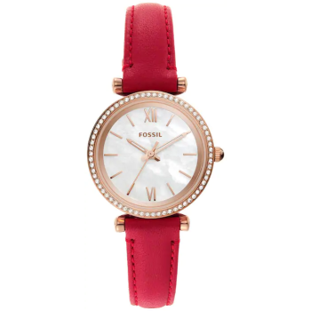 Fossil Carlie