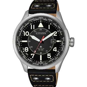 Citizen Promaster