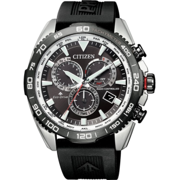 Citizen Promaster