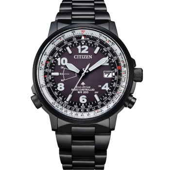 Citizen Promaster