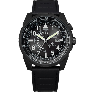 Citizen Promaster