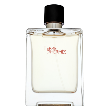 Hermès Terre D'Hermes тоалетна вода за мъже 100 ml