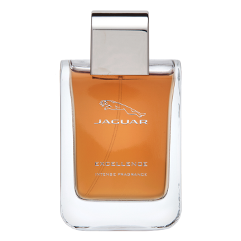 Jaguar Jaguar Excellence Intense Men Eau de Parfum da uomo 100 ml
