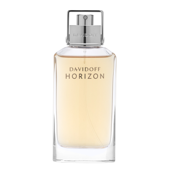 Davidoff Horizon toaletná voda pre mužov 75 ml