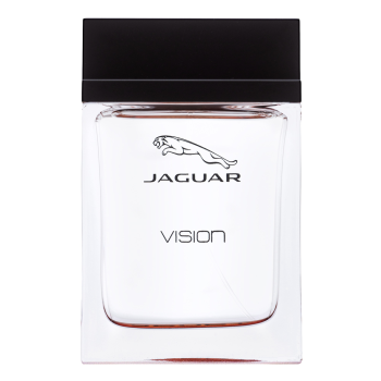 Jaguar Vision Sport Eau de Toilette da uomo 100 ml