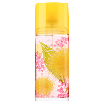 Elizabeth Arden Green Tea Mimosa toaletná voda pre ženy 100 ml