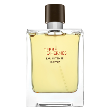 Hermès Terre D'Hermes Eau Intense Vetiver parfémovaná voda pre mužov 100 ml