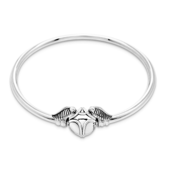 Narukvica Pandora Moments