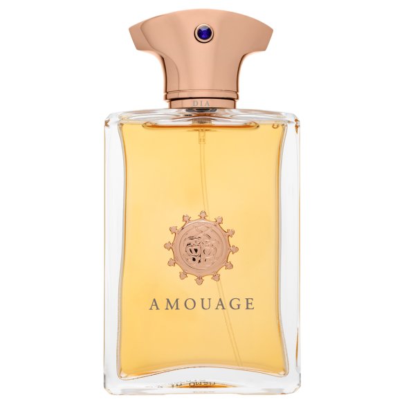 Amouage Dia parfémovaná voda pro muže 100 ml