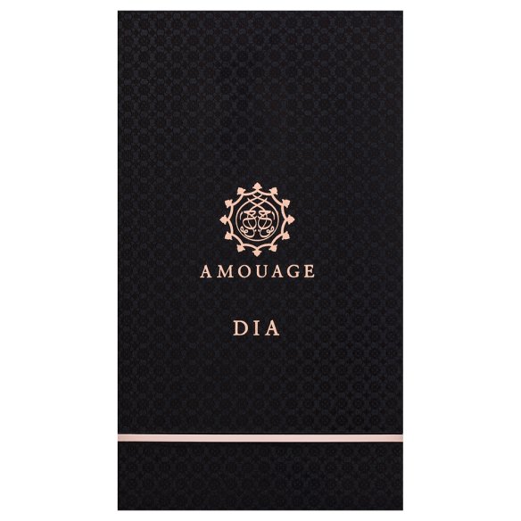 Amouage Dia parfémovaná voda pro muže 100 ml