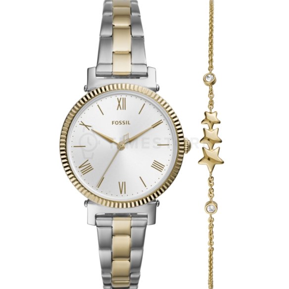 Fossil Daisy
