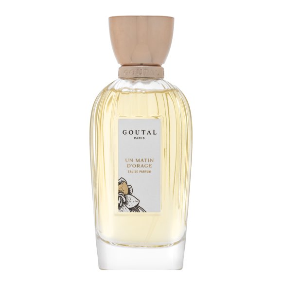 Annick Goutal Un Matin D'Orage parfémovaná voda za žene 100 ml