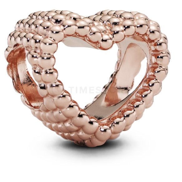 Charm Pandora Moments