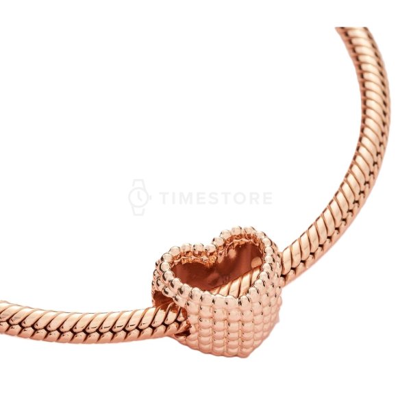 Charm Pandora Moments