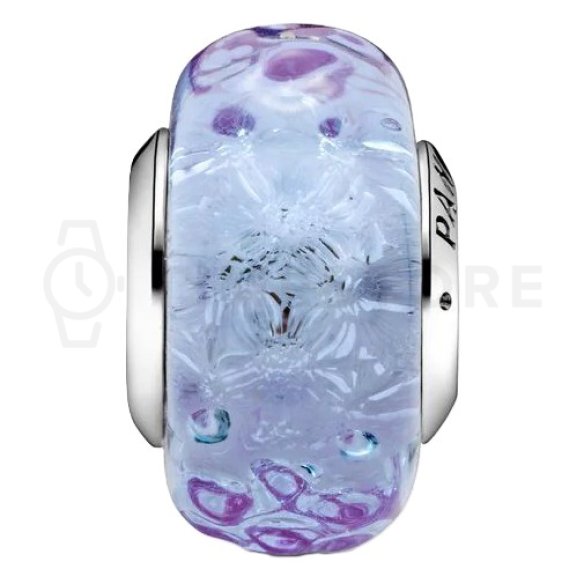 Charms Pandora Moments